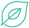 Iconos (1)